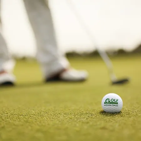 ホテル Livada Prestige - Terme 3000 - Sava &