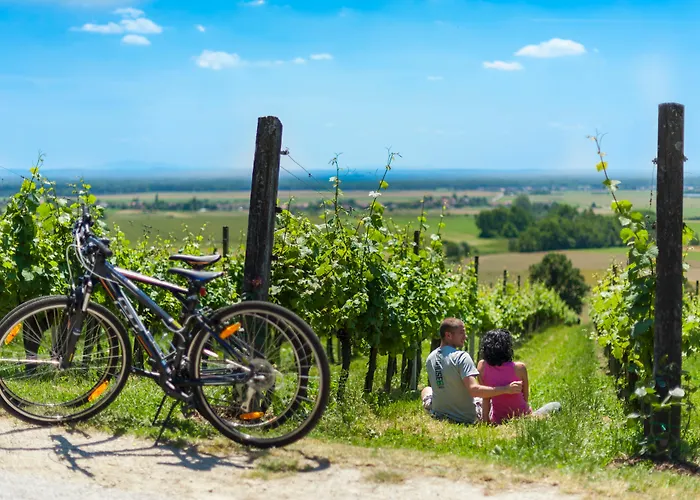 Hotel Livada Prestige - Terme 3000 - Sava & Moravske Toplice