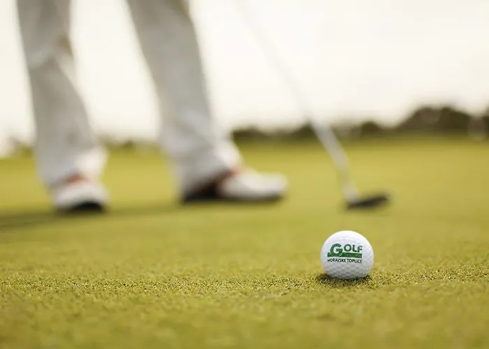 호텔 Livada Prestige - Terme 3000 - Sava &